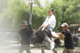 Riding ostrich with zoo keeper's guide and assistance