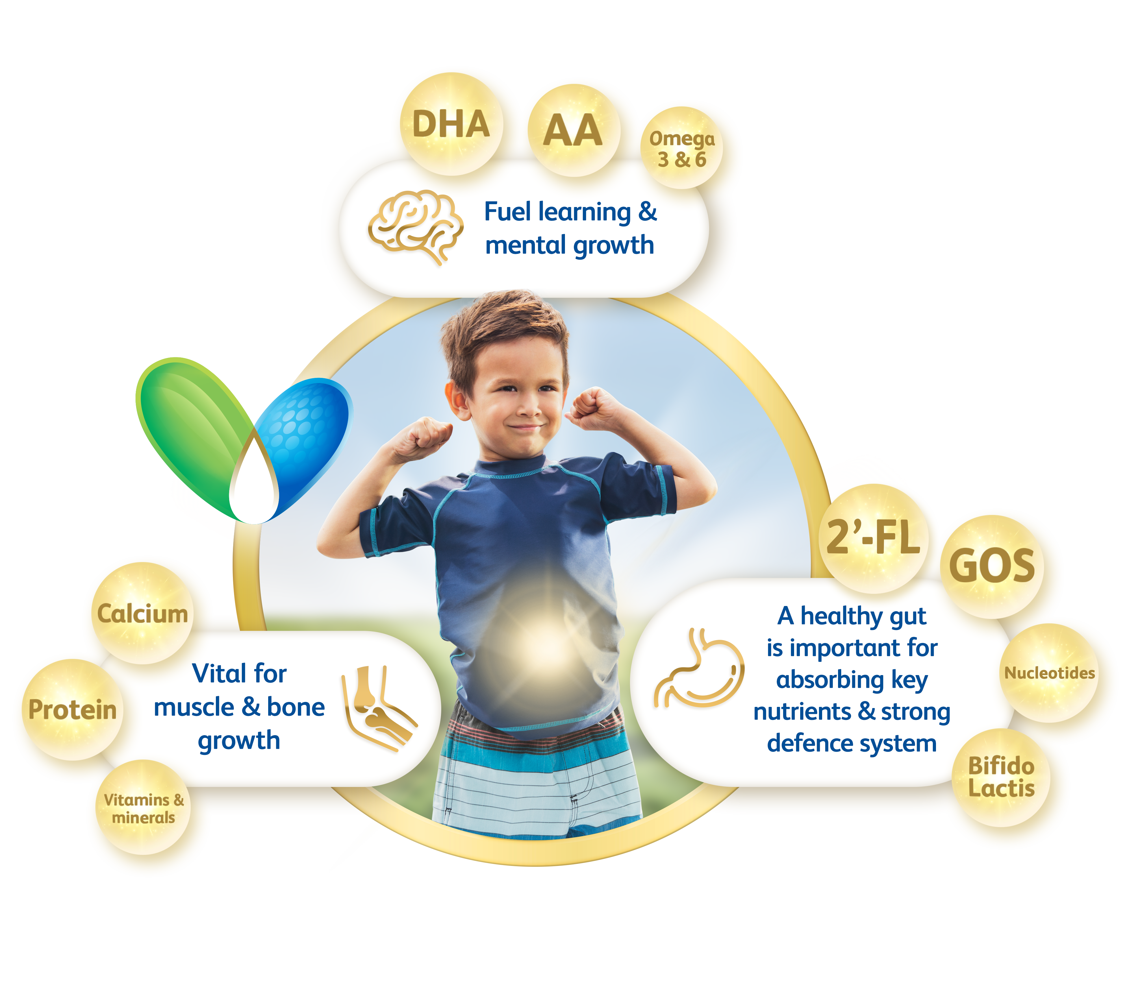 Over 50 Essential Nutrients in Friso® Gold milk powder to support your child's growth